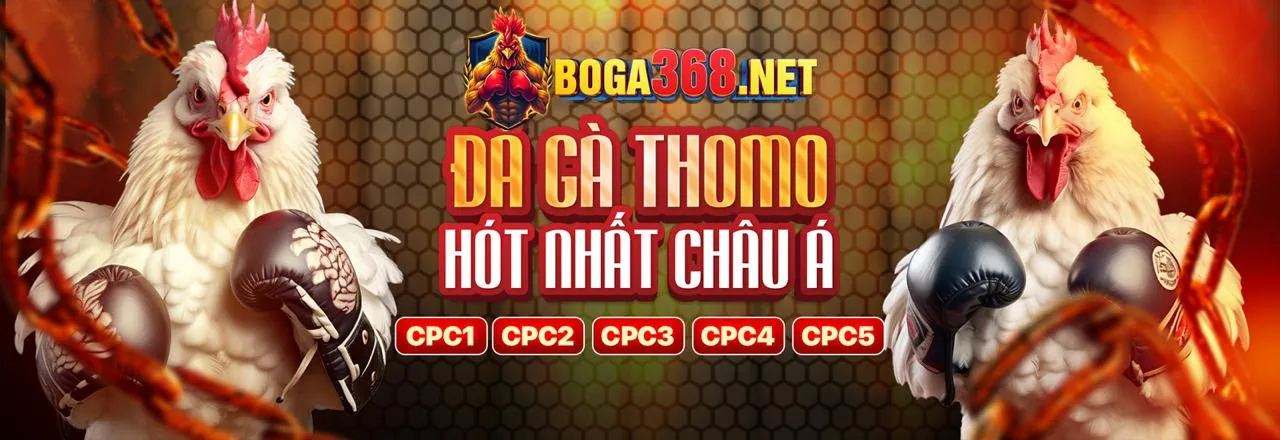 Câu lạc bộ VIP i9bet141 casino với các đặc quyền độc quyền